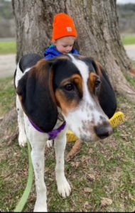 Rosie is Carolyn & Tom's grandpup!